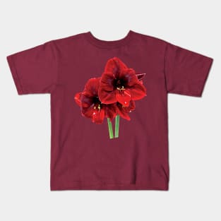 Closeup of Red Amaryllis Kids T-Shirt